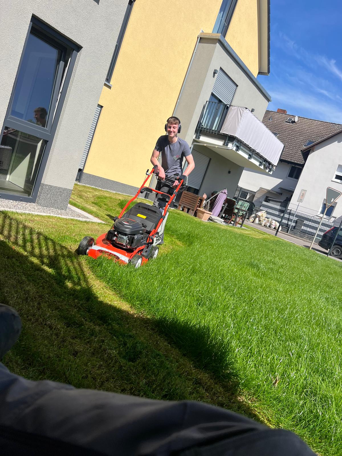 Grundstücksreinigung Projekt 3