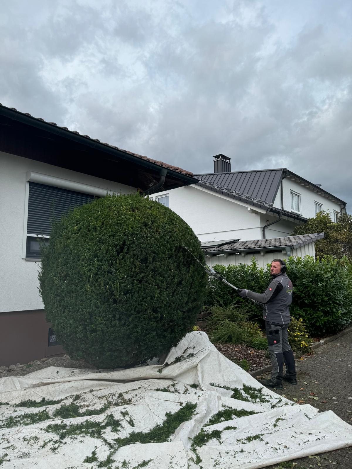 Projekt 5