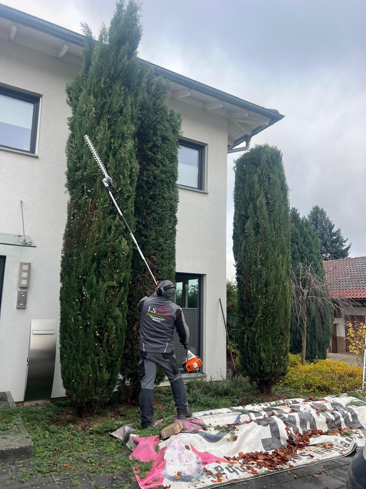 Projekt 6