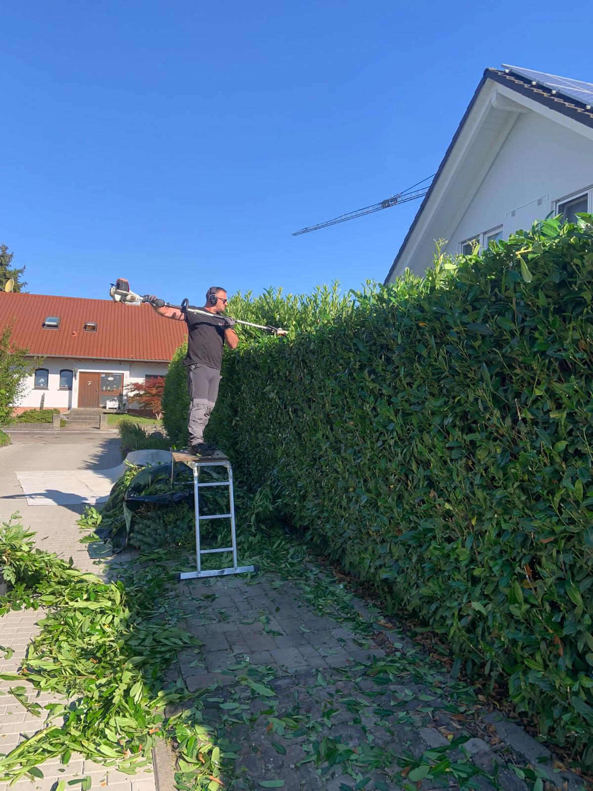 Projekt 9